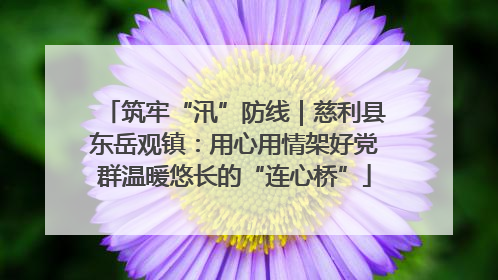筑牢“汛”防线｜慈利县东岳观镇：用心用情架好党群温暖悠长的“连心桥”