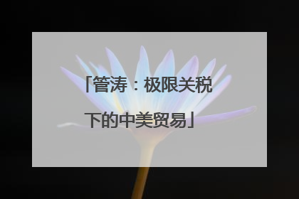 管涛：极限关税下的中美贸易