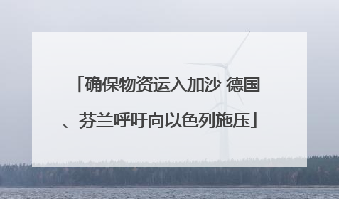 确保物资运入加沙 德国、芬兰呼吁向以色列施压