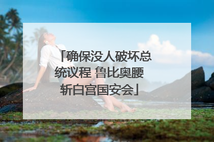 确保没人破坏总统议程 鲁比奥腰斩白宫国安会