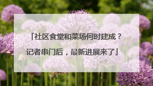 社区食堂和菜场何时建成？记者串门后，最新进展来了