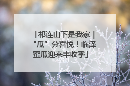 祁连山下是我家｜“瓜”分喜悦！临泽蜜瓜迎来丰收季
