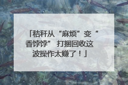 秸秆从“麻烦”变“香饽饽” 打捆回收这波操作太赚了！