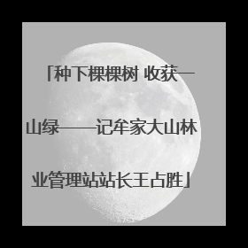 种下棵棵树 收获一山绿——记牟家大山林业管理站站长王占胜