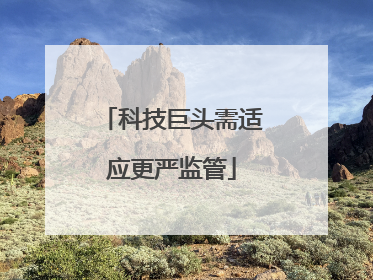科技巨头需适应更严监管