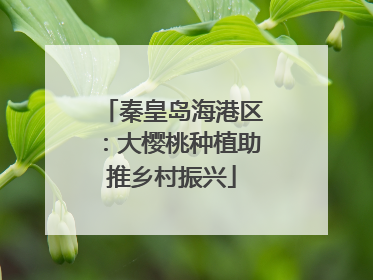 秦皇岛海港区：大樱桃种植助推乡村振兴