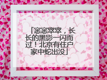 窸窸窣窣，长长的黑影一闪而过！北京有住户家中蛇出没