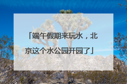 端午假期来玩水，北京这个水公园开园了
