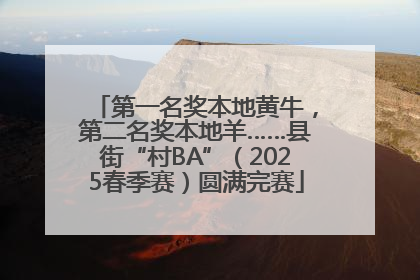 第一名奖本地黄牛，第二名奖本地羊……县街“村BA”（2025春季赛）圆满完赛