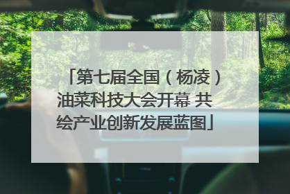第七届全国（杨凌）油菜科技大会开幕 共绘产业创新发展蓝图