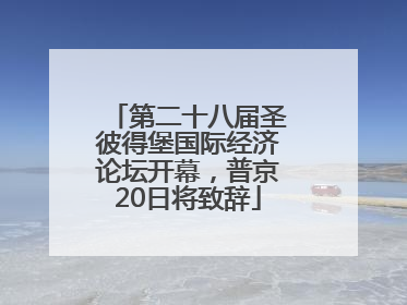 第二十八届圣彼得堡国际经济论坛开幕，普京20日将致辞