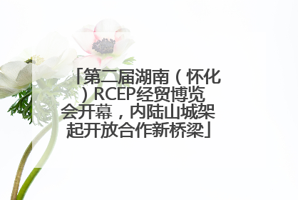 第二届湖南（怀化）RCEP经贸博览会开幕，内陆山城架起开放合作新桥梁