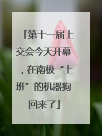 第十一届上交会今天开幕，在南极“上班”的机器狗回来了
