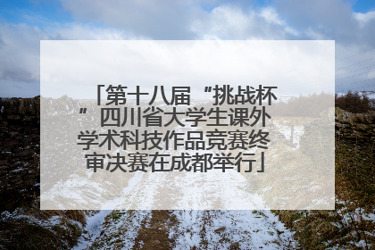 第十八届“挑战杯”四川省大学生课外学术科技作品竞赛终审决赛在成都举行
