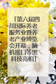 第六届四川国际养老服务业暨养老产业博览会开幕，脑机接口等黑科技亮相