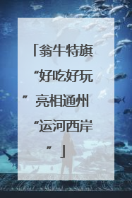 翁牛特旗“好吃好玩”亮相通州“运河西岸”