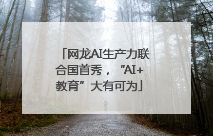 网龙AI生产力联合国首秀，“AI+教育”大有可为