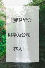 罗卫华会见华为公司客人