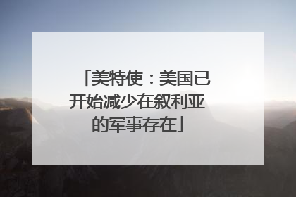 美特使：美国已开始减少在叙利亚的军事存在