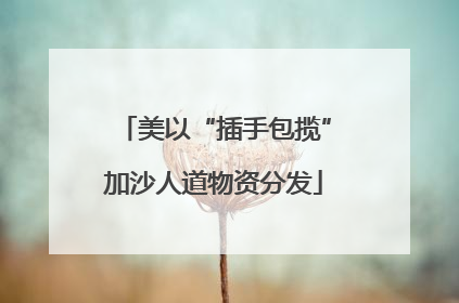 美以“插手包揽”加沙人道物资分发