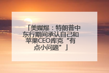 美媒爆：特朗普中东行期间承认自己和苹果CEO库克“有点小问题”