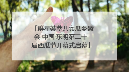 群星荟萃共襄瓜乡盛会 中国·东明第二十届西瓜节开幕式启幕