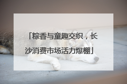 粽香与童趣交织，长沙消费市场活力爆棚