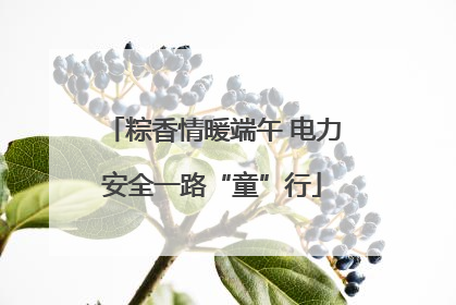 粽香情暖端午 电力安全一路“童”行