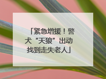 紧急增援！警犬“天狼”出动找到走失老人