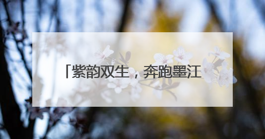 紫韵双生，奔跑墨江丨2025太平洋建设普洱墨江半程马拉松活动日程来啦！