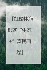 红松林海织就“生态+”富民画卷