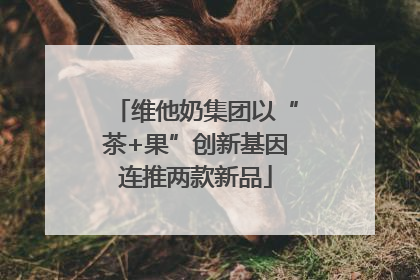 维他奶集团以“茶+果”创新基因连推两款新品