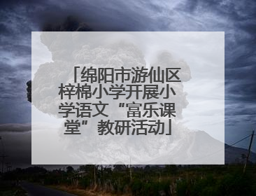绵阳市游仙区梓棉小学开展小学语文“富乐课堂”教研活动