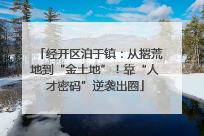 经开区泊于镇：从撂荒地到“金土地”！靠“人才密码”逆袭出圈