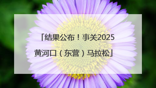 结果公布！事关2025黄河口（东营）马拉松