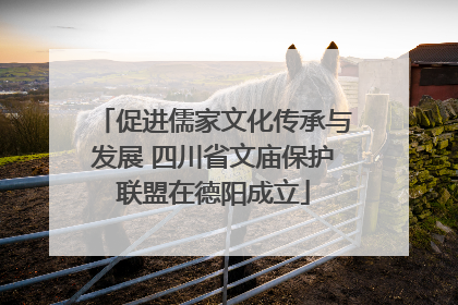 促进儒家文化传承与发展 四川省文庙保护联盟在德阳成立