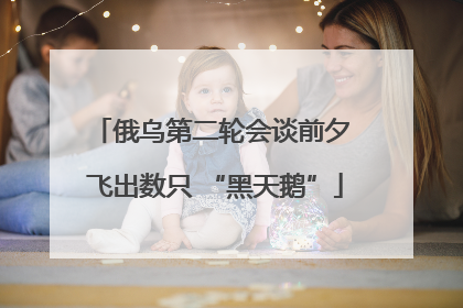 俄乌第二轮会谈前夕 飞出数只 “黑天鹅”