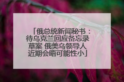 俄总统新闻秘书：待乌克兰回应备忘录草案 俄美乌领导人近期会晤可能性小