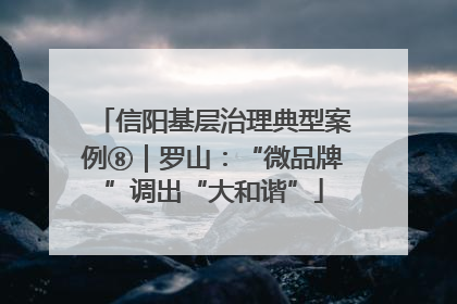 信阳基层治理典型案例⑧｜罗山：“微品牌”调出“大和谐”