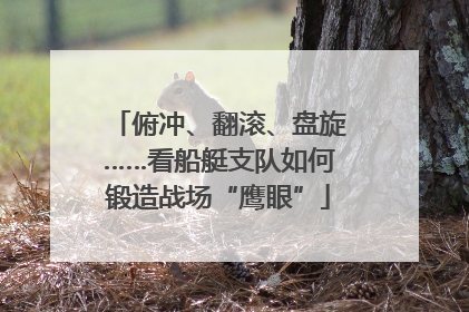俯冲、翻滚、盘旋……看船艇支队如何锻造战场“鹰眼”