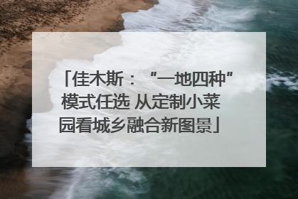 佳木斯：“一地四种” 模式任选 从定制小菜园看城乡融合新图景