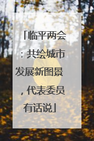 临平两会：共绘城市发展新图景，代表委员有话说