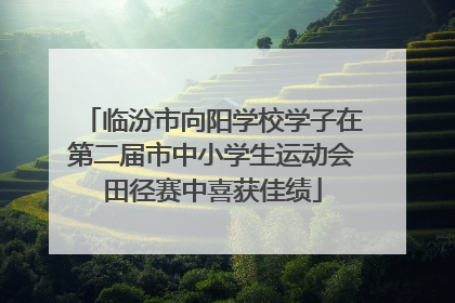 临汾市向阳学校学子在第二届市中小学生运动会田径赛中喜获佳绩