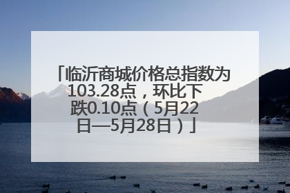 临沂商城价格总指数为103.28点，环比下跌0.10点（5月22日—5月28日）