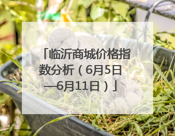 临沂商城价格指数分析（6月5日—6月11日）
