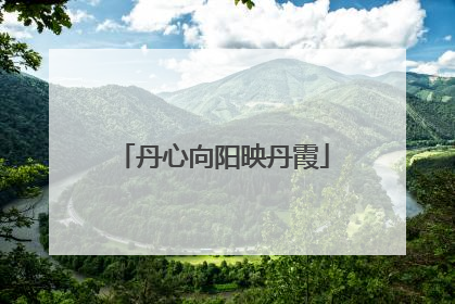 丹心向阳映丹霞
