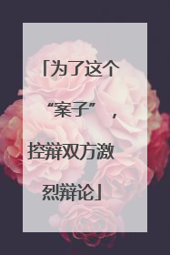 为了这个“案子”，控辩双方激烈辩论