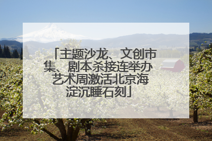 主题沙龙、文创市集、剧本杀接连举办 艺术周激活北京海淀沉睡石刻
