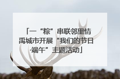 一“粽”串联邻里情 禹城市开展“我们的节日·端午”主题活动