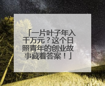 一片叶子年入千万元？这个日照青年的创业故事藏着答案！